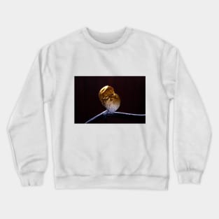 Golden Leaf Pothos Crewneck Sweatshirt